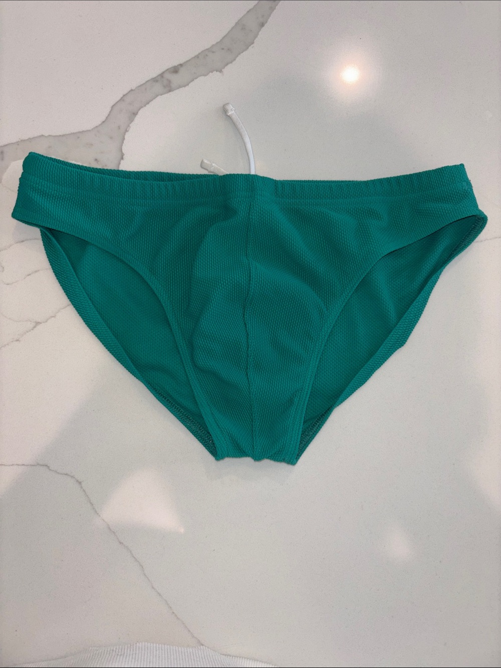 Charlie by Matthew Zink Teal Swim Brief